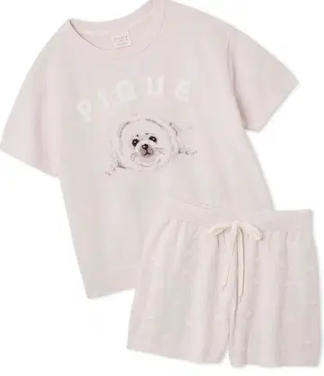 젤라피케 물범 세트