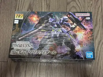 HG 키마리스 비다르