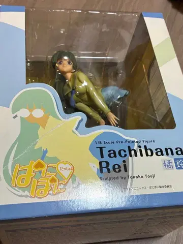 알터  타치바나 레이 1/8 스케일 피규어