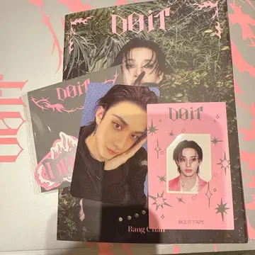 straykids Do it 아코디언 방찬