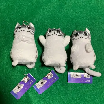 밤은 고양이와 함께 마스코트 풀세트