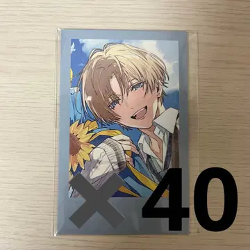 니지산지 엑스 알비오 생일 벌스데이 폴라로이드풍 카드 2025