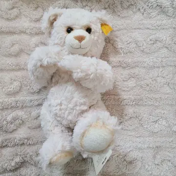 택 포함 새상품 Steiff 베이지 테디베어