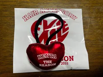 EXILE THE REASON 카미야 켄타