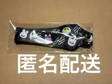 straykids 스키즈 넥스트랩 업그레이드 5-star