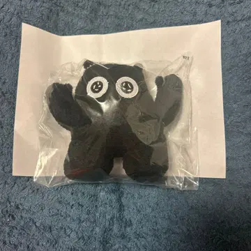 마키하라 노리유키 검은 고양이