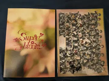 앙스타 스타포니 팜플렛 클리어 파일 포함