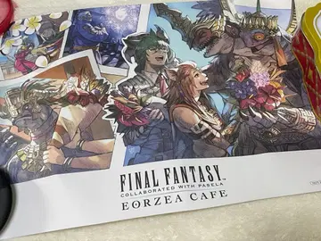 FF14 신생제 2025 런천 매트 1개