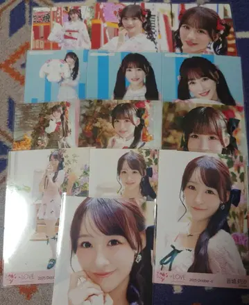 =Love 오토시마 리사 브로마이드 컴프 묶음 판매