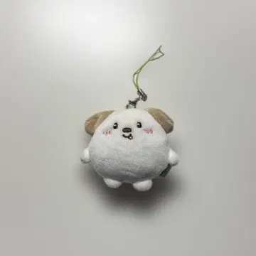 riize anton 앤톤 라이즈 키링 little riize