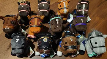 아이돌 호스 경마 굿즈