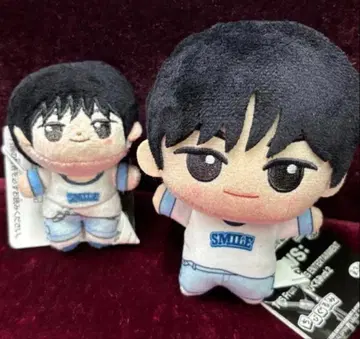 [ 새상품 택 포함 ] TWS  SD 인형 도훈 DOHOON 2종 세트