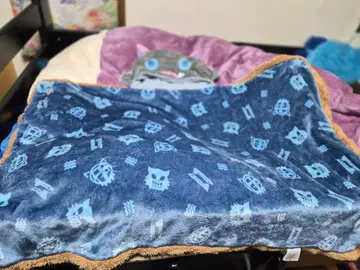 귀멸의 칼날 이노스케 후드 부착 플리스 담요 네이비