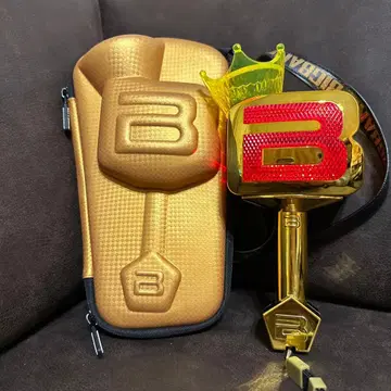 새상품급 BIGBANG 10주년 한정판 응원봉 케이스 포함