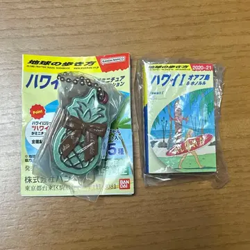 지구의 산책 하와이 세트