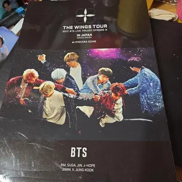 THE WINGS TOUR IN JAPAN DVD