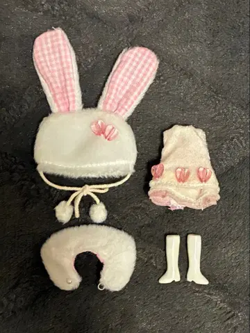 브라이스 미니 브라이스 호피티 홉 드레스 세트 공식 판매 상품