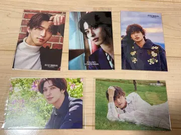 요코하마 류세이 엽서 5종 세트