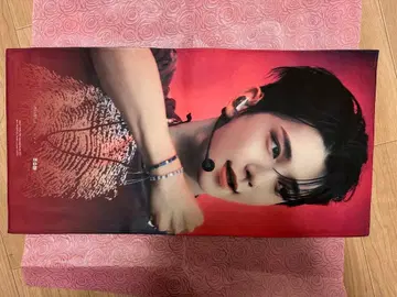 seventeen 조슈아 슬로건 세부치 kpop