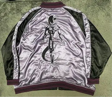 카라쿠리타마시 프리저 스카잔