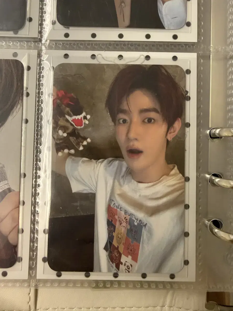 zb1 zhang hao poca Never say never soundwave pre-order benefit