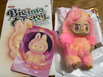 Biginto Energy 러브브 에너지 팝마트 LOYALTY