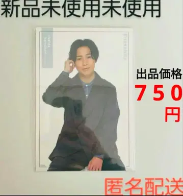 고양이의 좁쌀만큼 넓은 사진 세트 카마카리 켄타