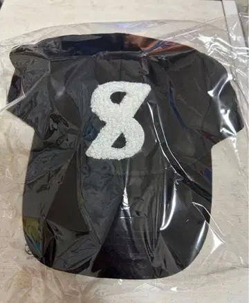 timelesz project 타입 로고 캡