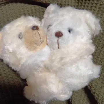 화이트곰 봉제 인형 껴안기