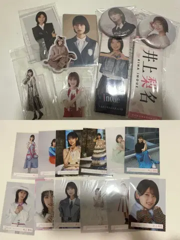 이노우에 리나 묶음 판매