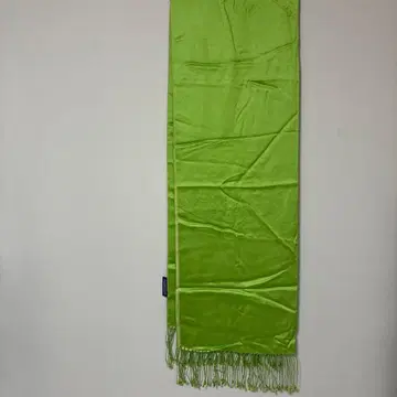 랄프 로렌 퍼플 컬렉션 선명한 라이트 그린 프린지 스톨