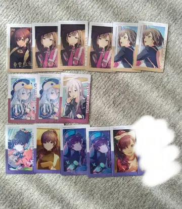 프로세카 에피카 니고 묶음 판매