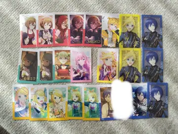 프로세카 에피카 바차신 묶음 판매