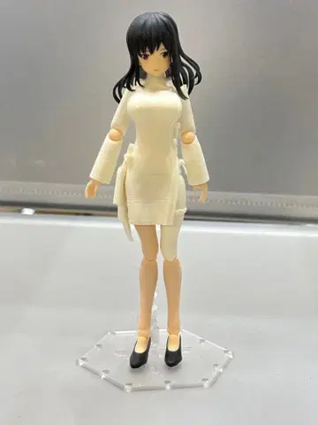 앨리스 기어 아이기스 성신도포