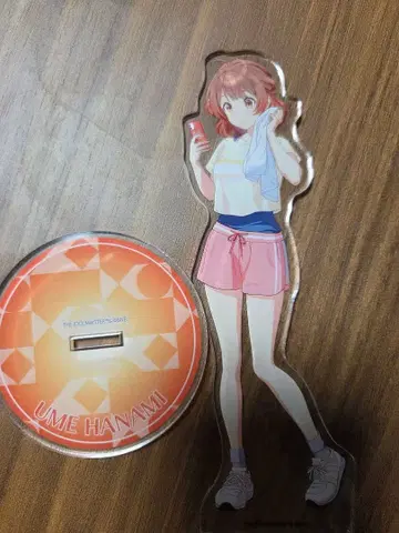 하나미 유메 아크릴 스탠드