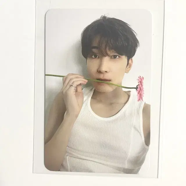 세븐틴 원우 포카