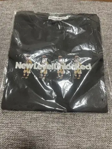 와카이 히로토 벌스데이 T셔츠 M 미세스 그린애플