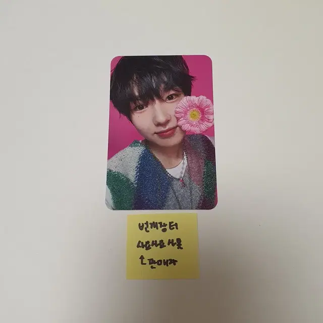 엔시티위시 송버드 일본반 앨범 사쿠야 포카 양도 판매