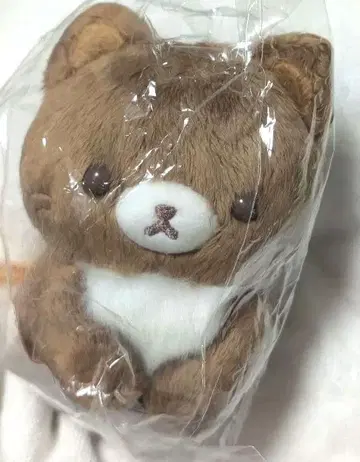 코코아 캣 봉제 인형 코리락쿠마 스토어 한정판