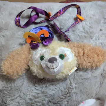 쿠키 패스 케이스