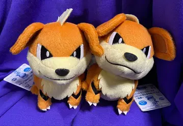 포켓몬 코롯토 만마루쨩 봉제 인형 수사 [가디 2개] 세트