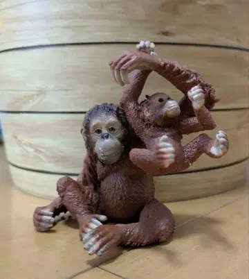 슐라이히 피규어 오랑우탄 부자 동물 피규어