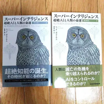 슈퍼 인텔리전스 초절정 AI와 인류의 명운 상하권