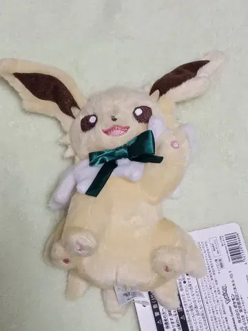 포켓몬 센터 이브이 컬렉션 봉제 인형 썬더