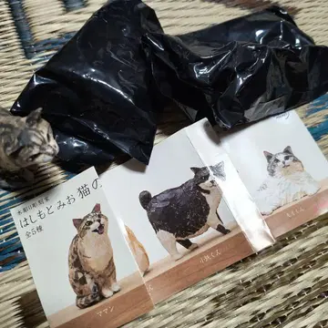 하시모토 미오 고양이 조각 2 마망 코테츠 군 모이 군 세트