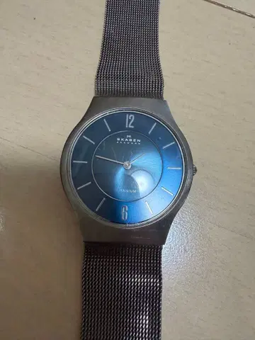 SKAGEN 손목시계