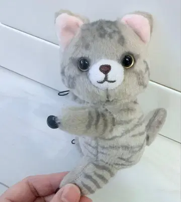 SOPHIA KURO TABBY CAT PAWS 다코냥 KEDAMA