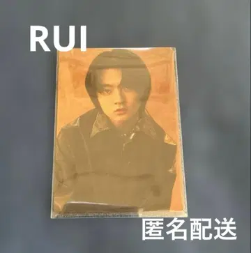 BMSG COMPLETE FILE 포토 카드 RUI 트레이딩 카드