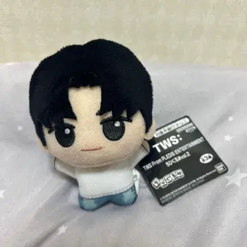 TWS 뽑기 게임 SD 인형 영재