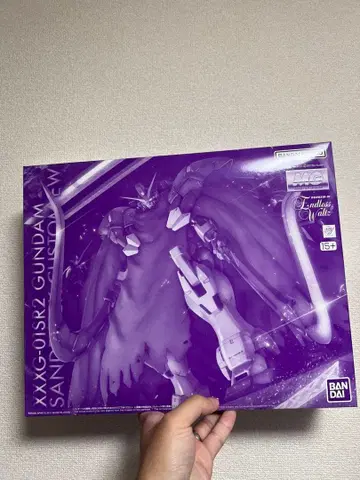 MG 1/100 건담 산드로크 EW